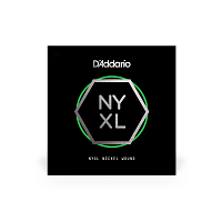 D`ADDARIO NYNW036